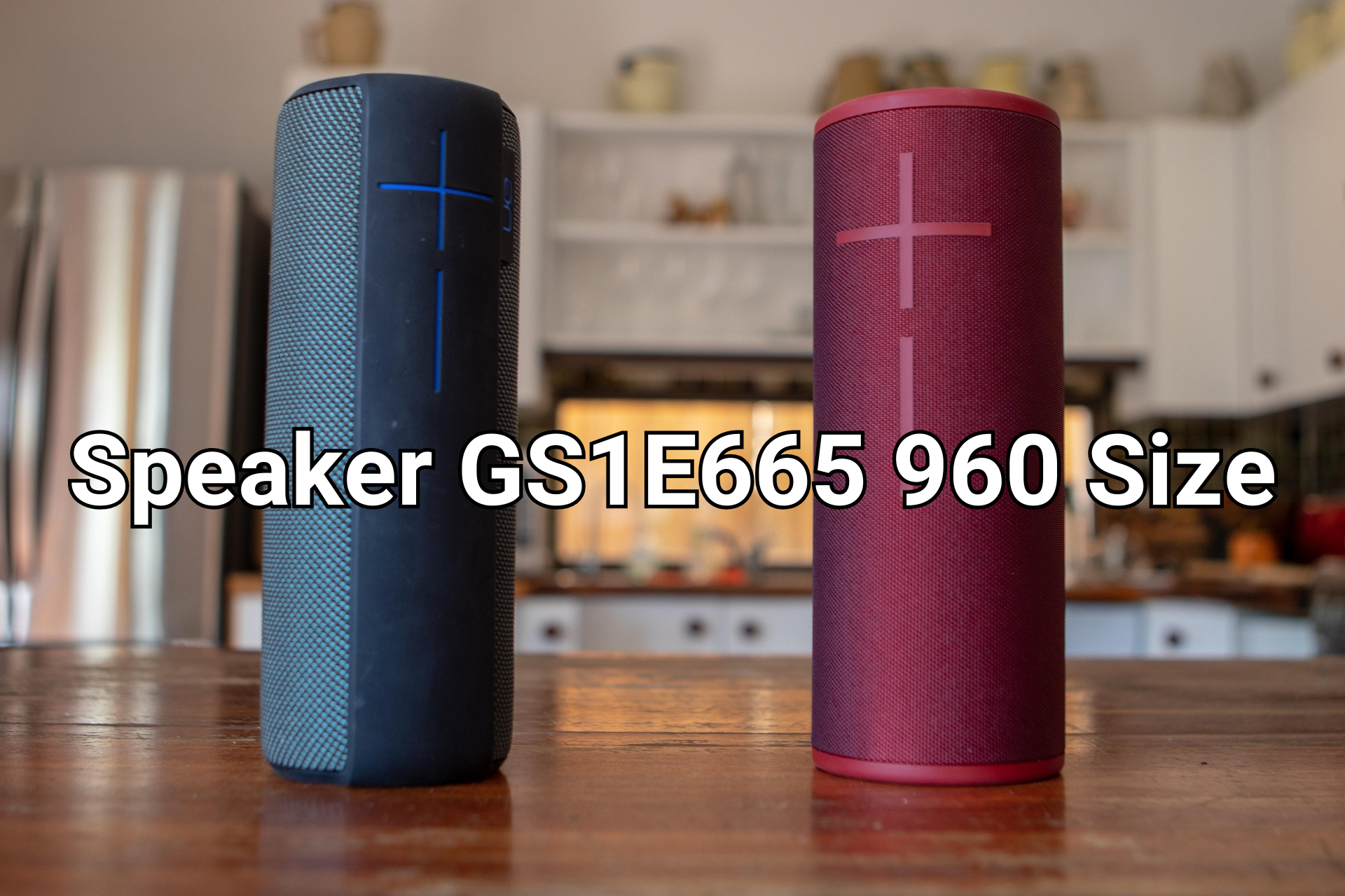 Speaker GS1E665 960 Size